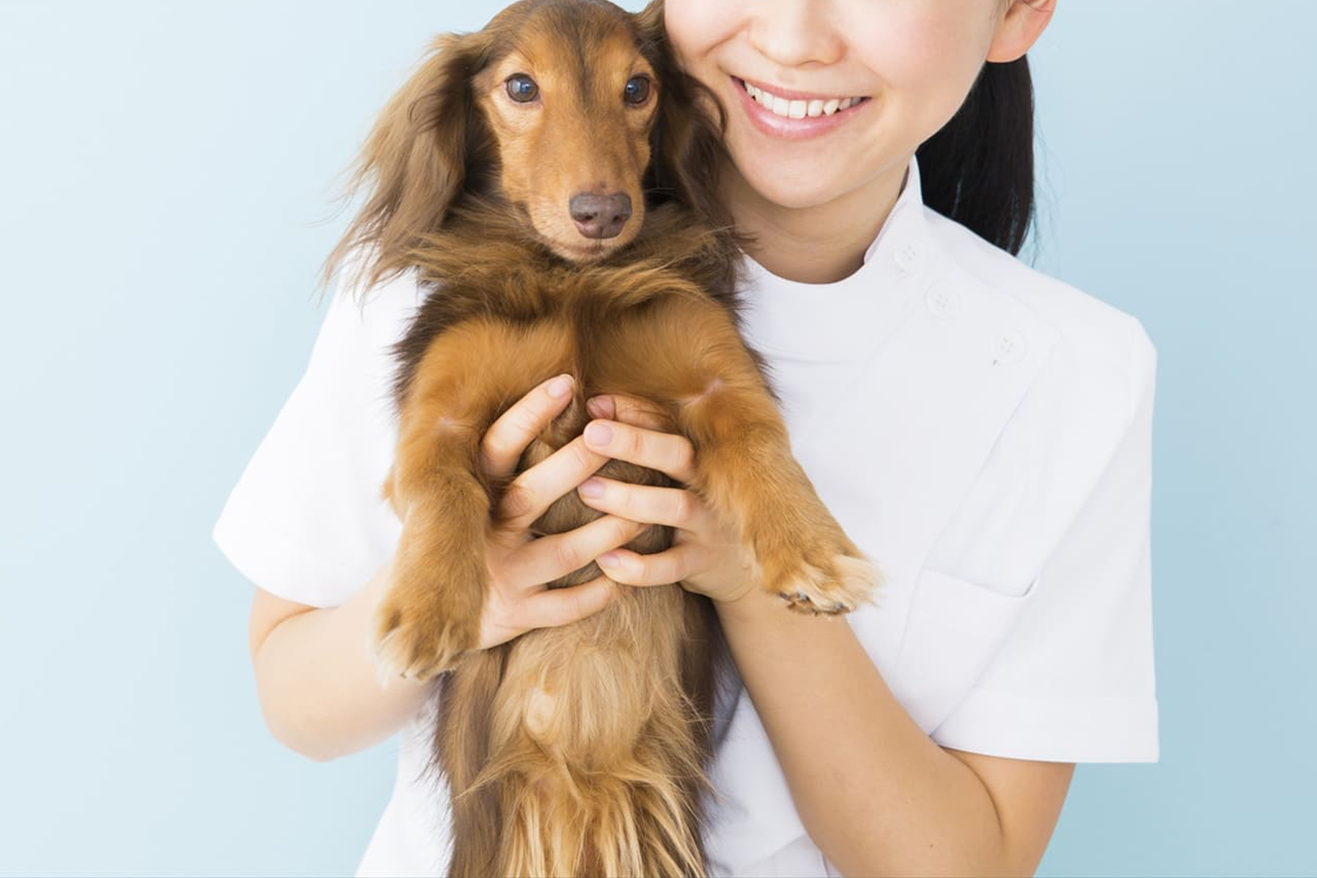 皮膚病への配慮 | 東京都府中のトリミングサロンならdog salon Love it
