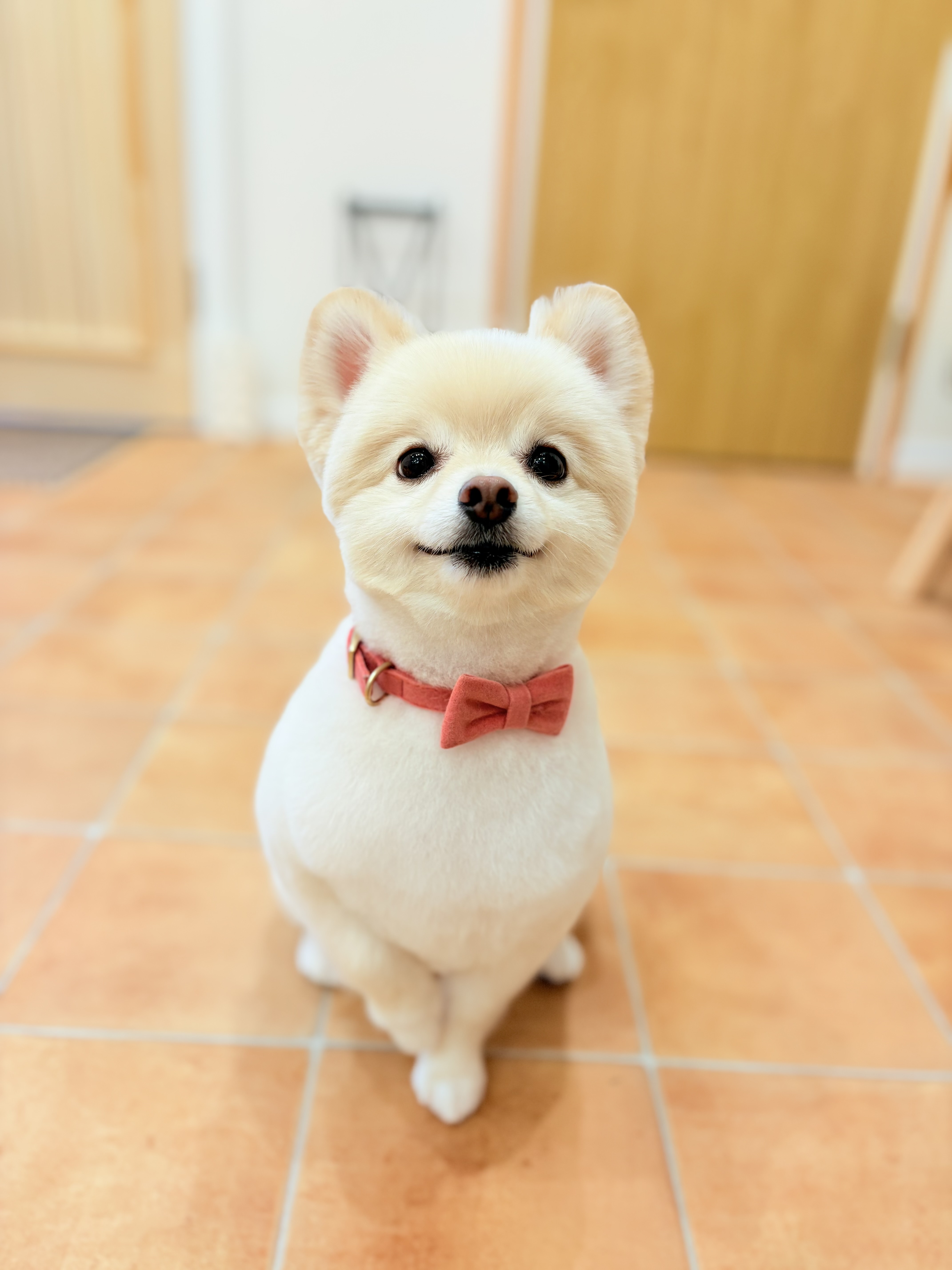 AdobeStock_267069464