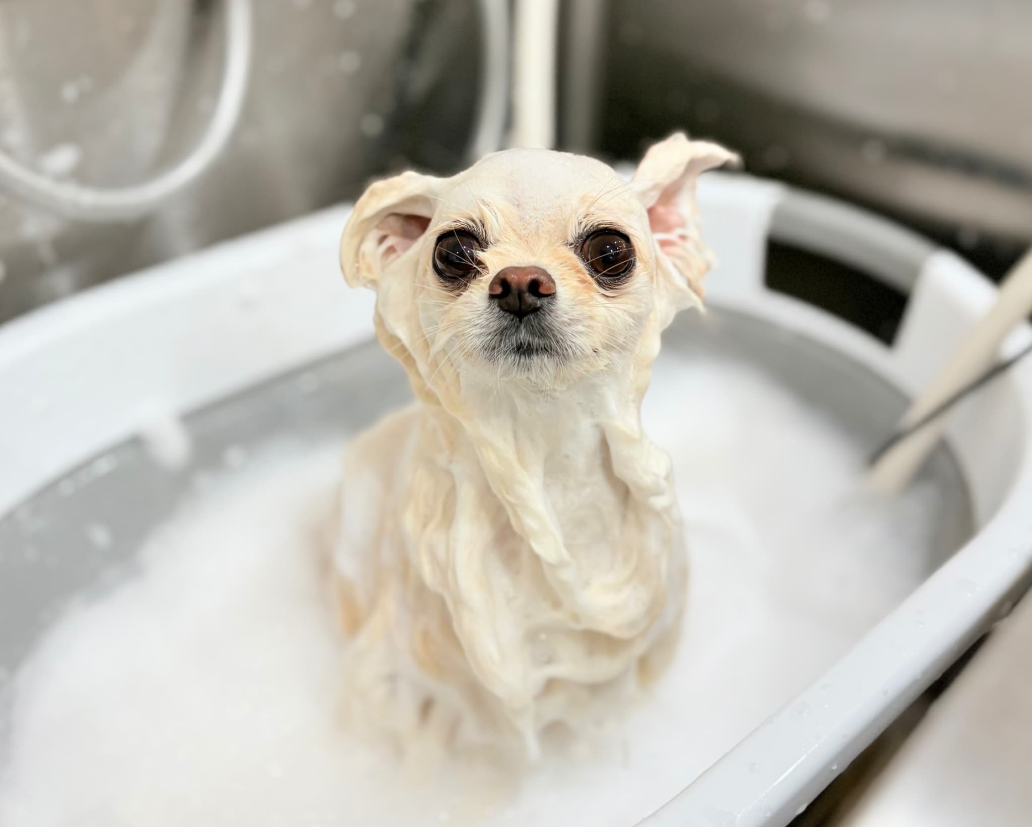 AdobeStock_267069464