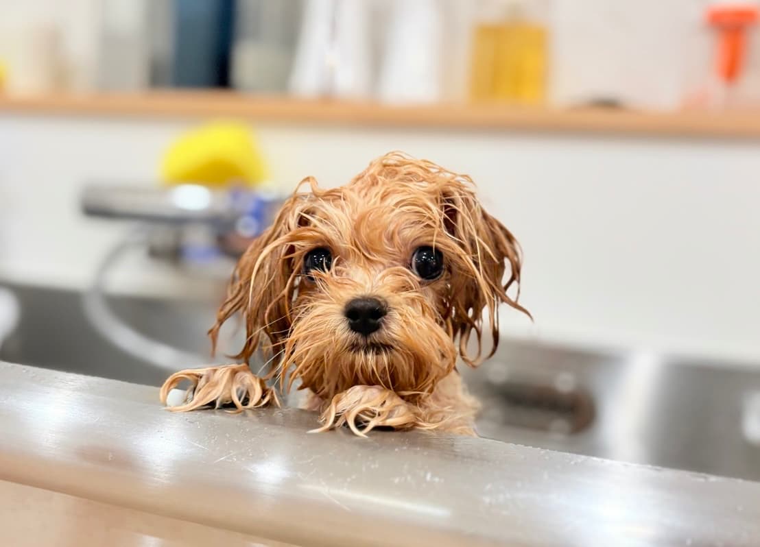 AdobeStock_267069464