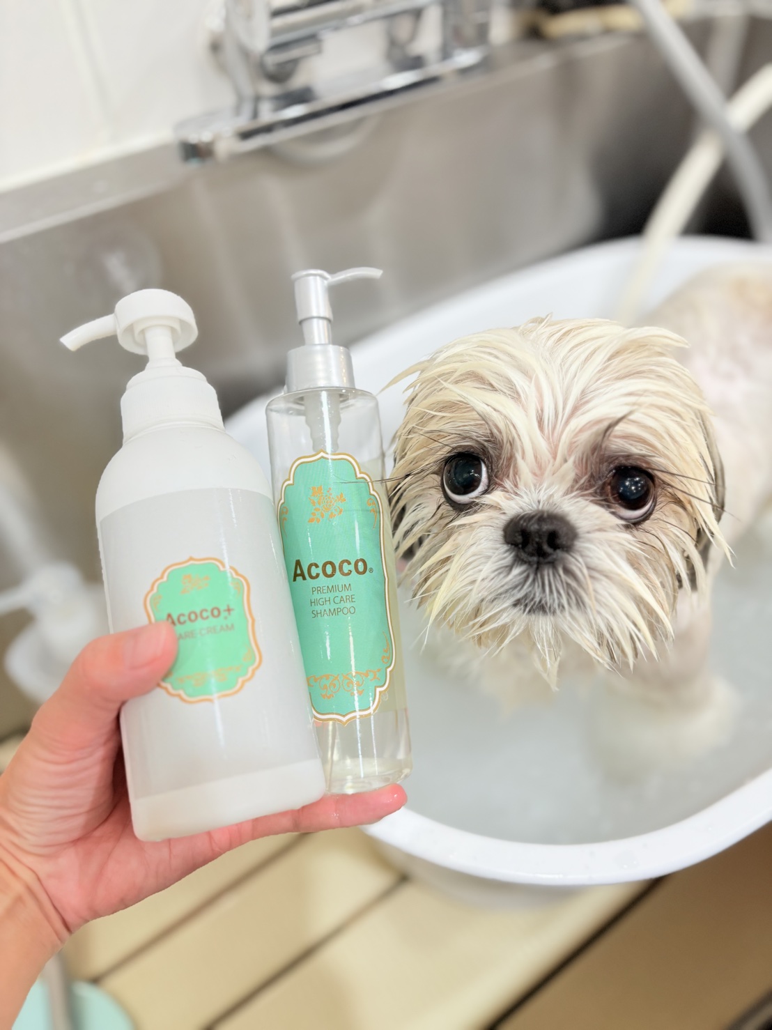 乾燥対策をしっかり| 東京都府中のトリミングサロンならdog salon Love it