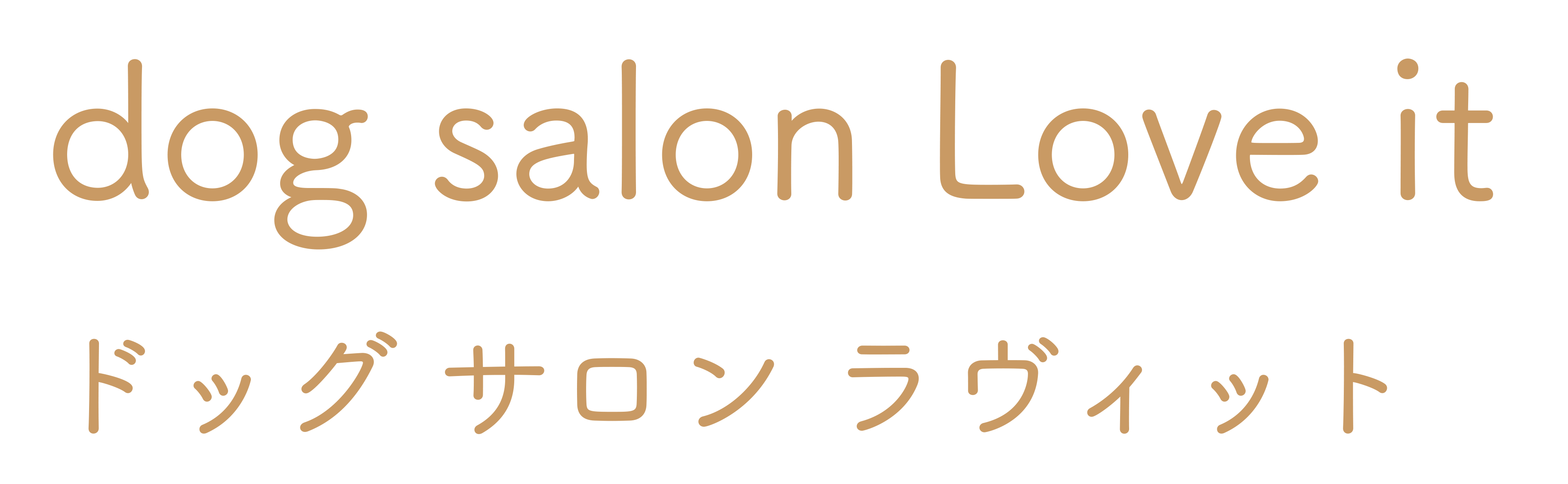 dog salon Love it
